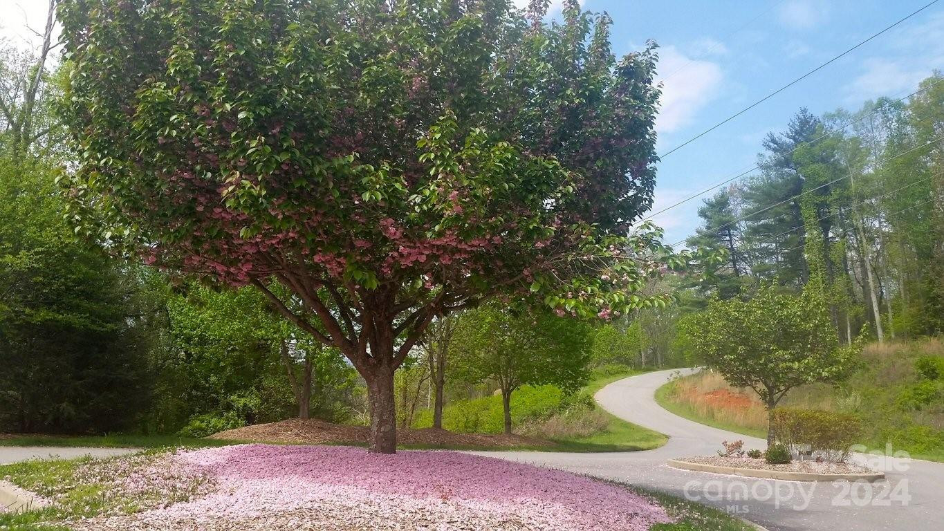 178 Waightstill Drive - Photo 33