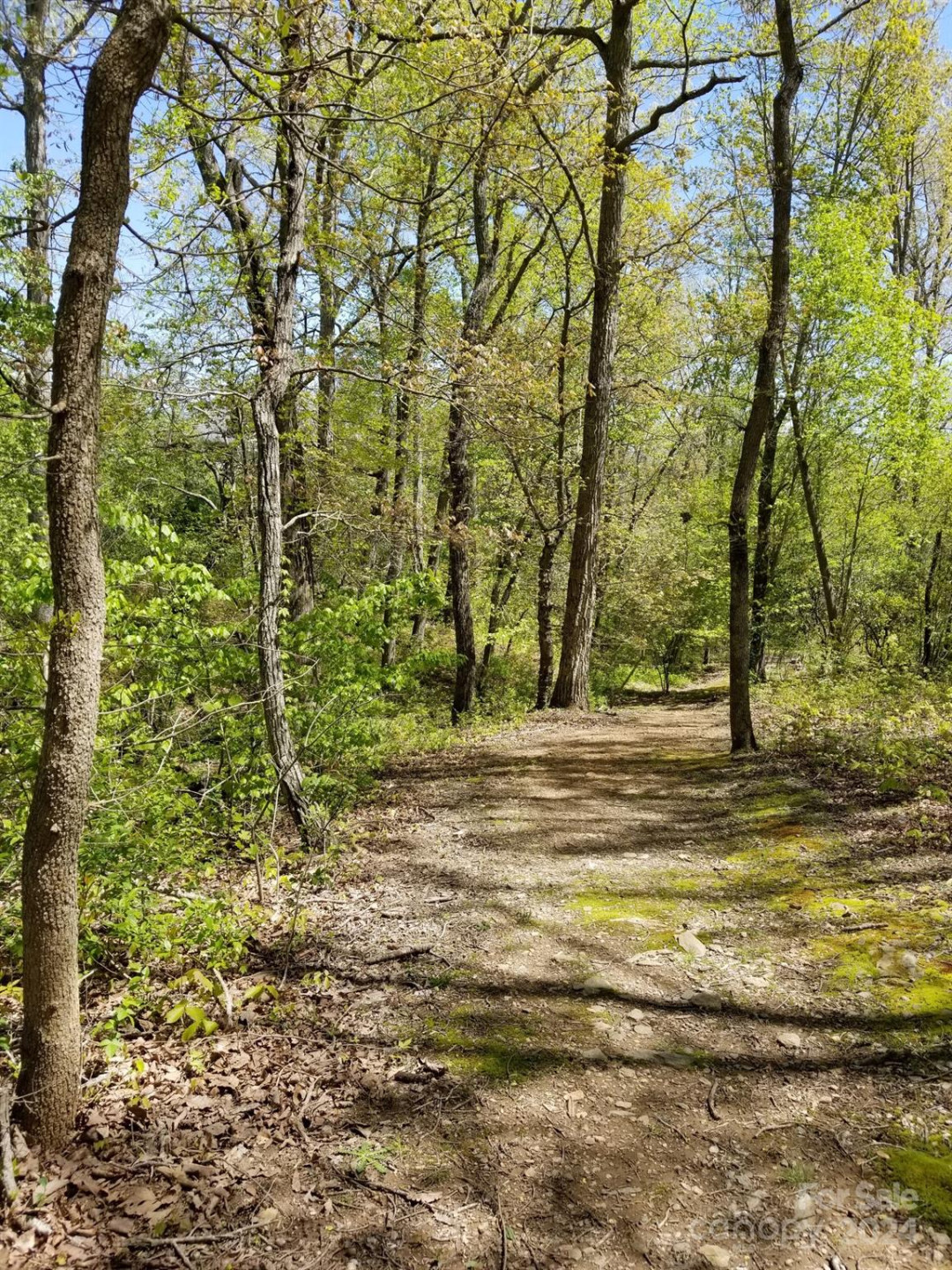 178 Waightstill Drive - Photo 35