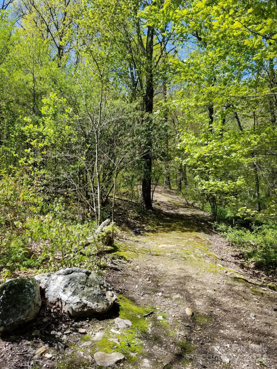 178 Waightstill Drive - Photo 36