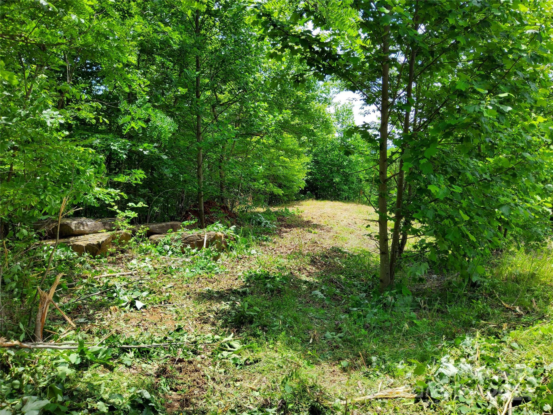 0 Bear Cliff Way #14 - Photo 11