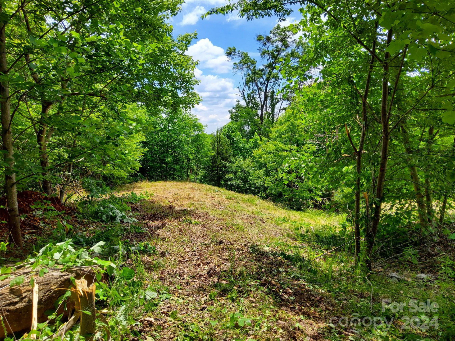 0 Bear Cliff Way #14 - Photo 12