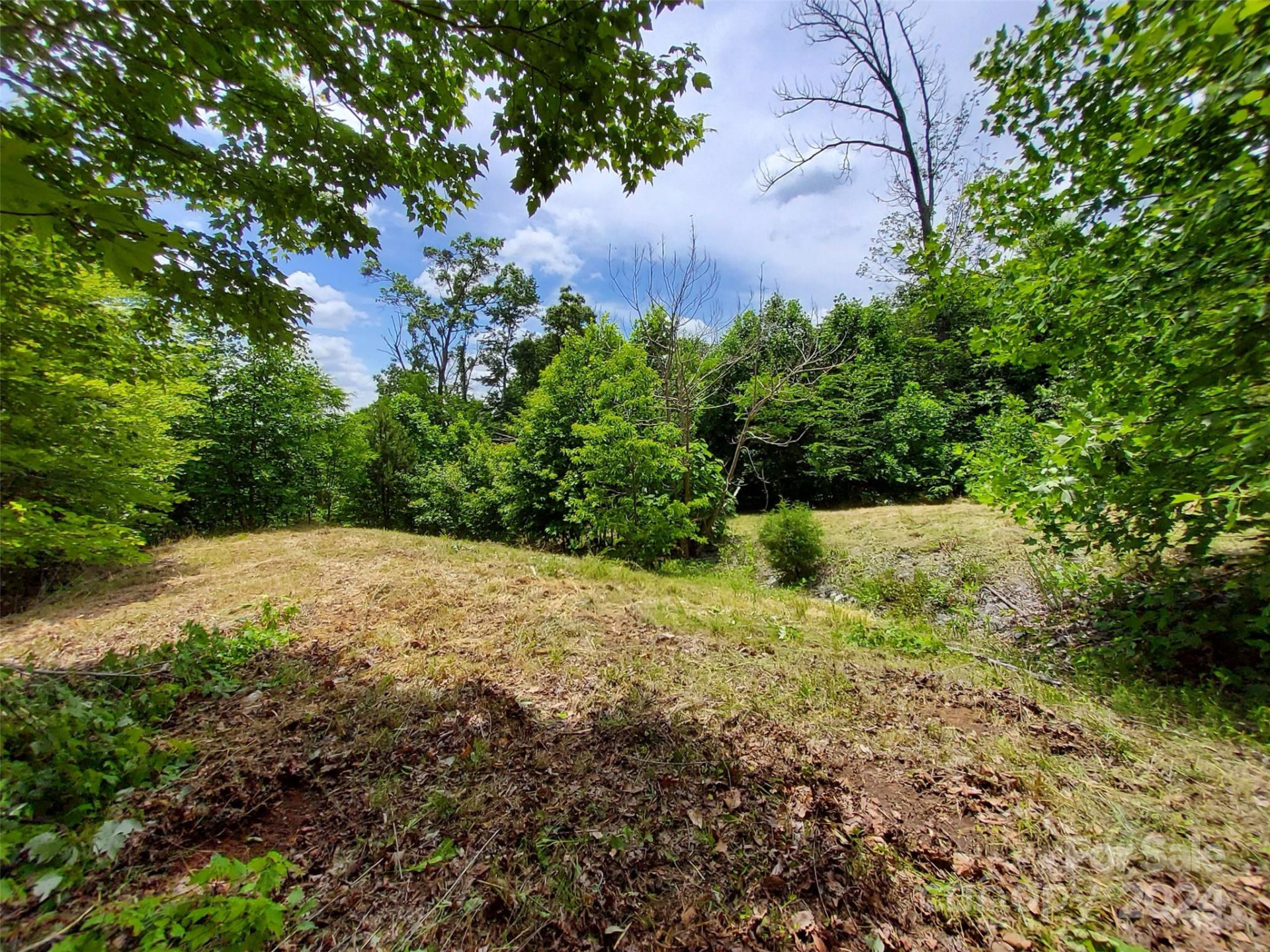 0 Bear Cliff Way #14 - Photo 13