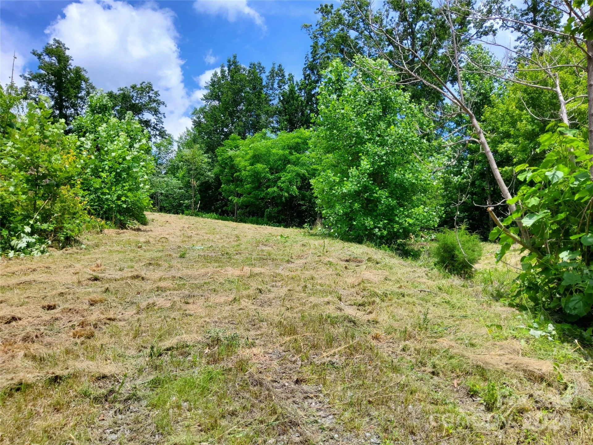 0 Bear Cliff Way #14 - Photo 14