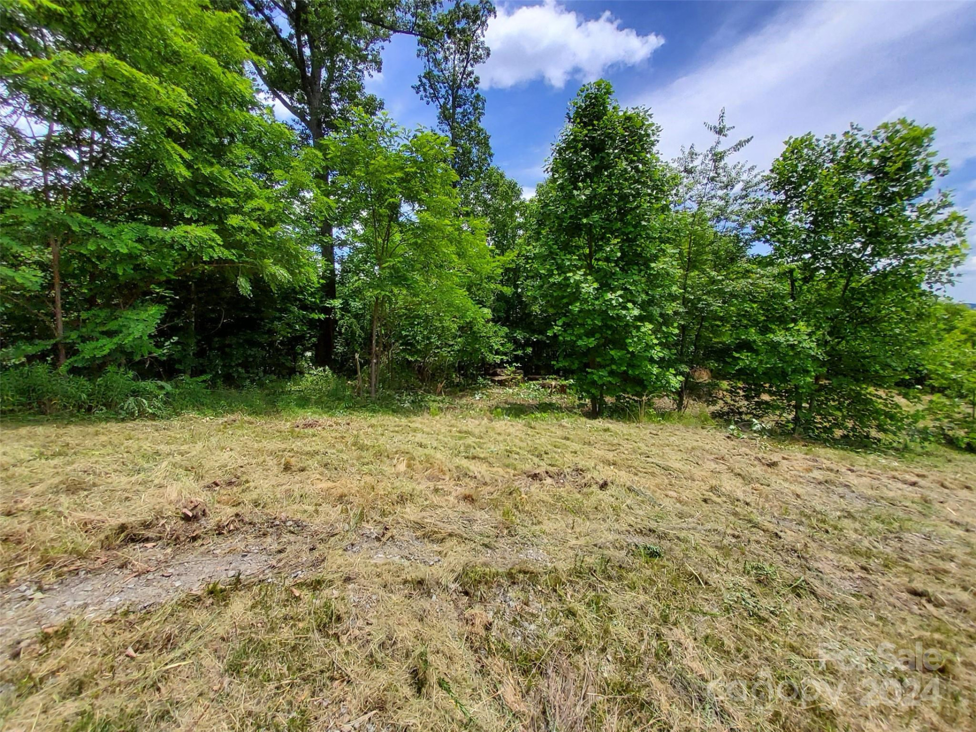 0 Bear Cliff Way #14 - Photo 15