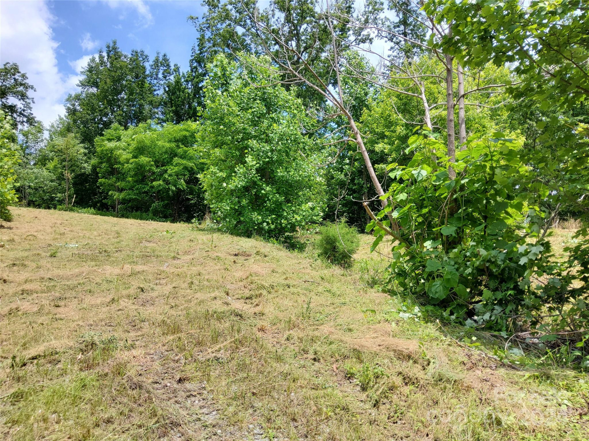 0 Bear Cliff Way #14 - Photo 16