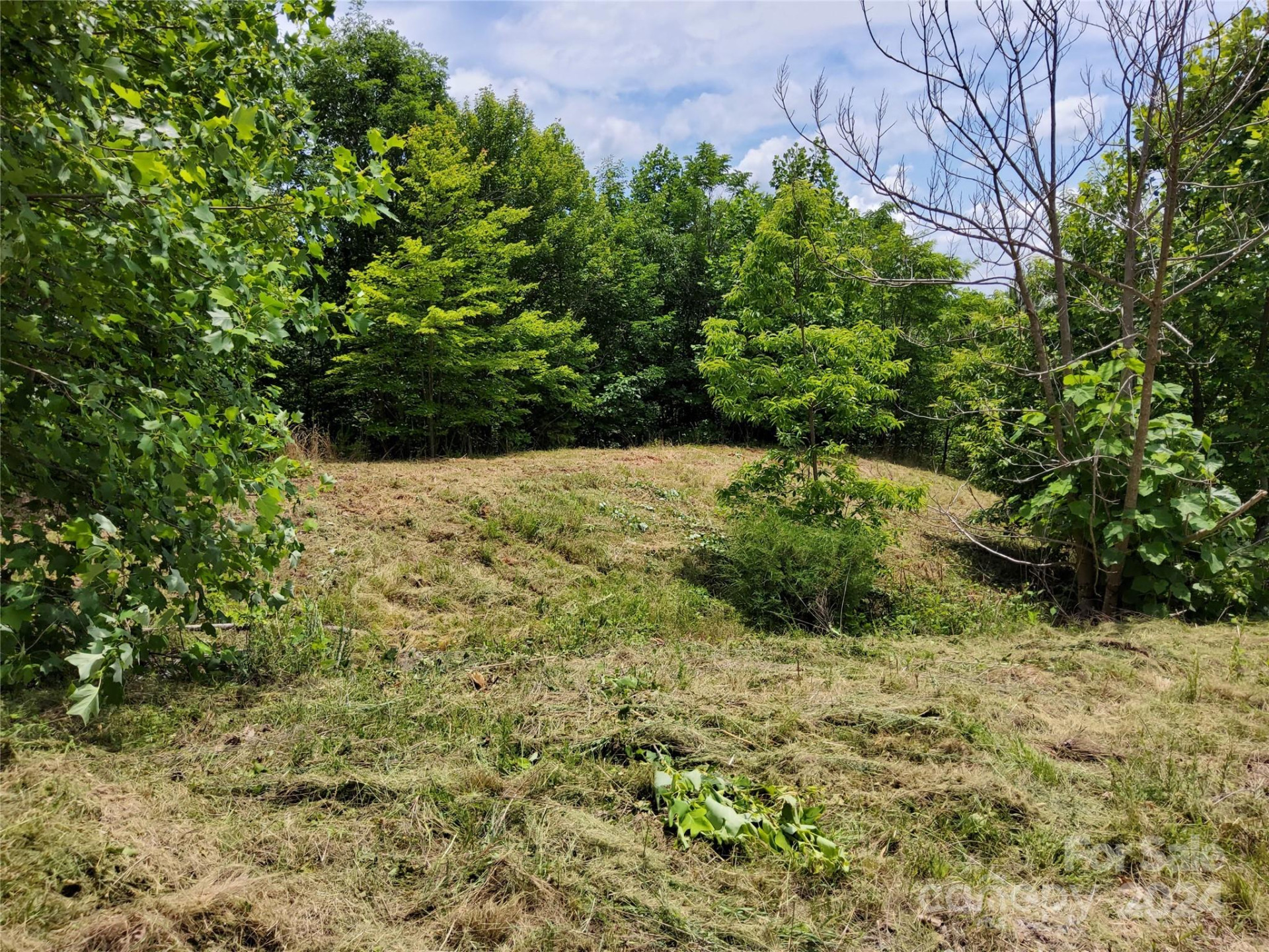 0 Bear Cliff Way #14 - Photo 17