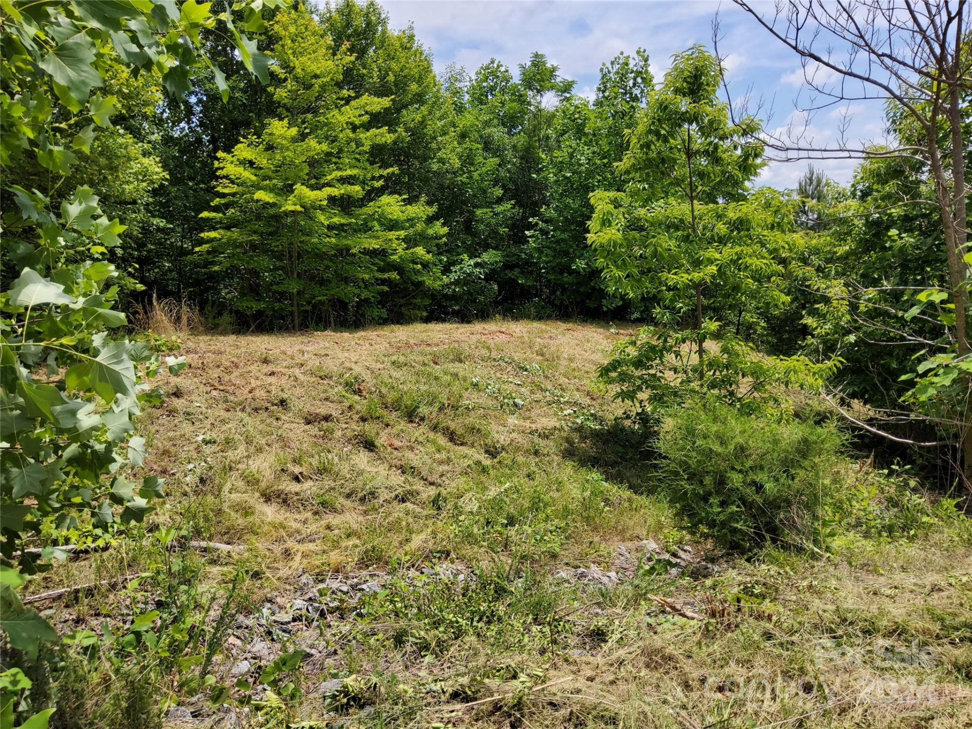 0 Bear Cliff Way #14 - Photo 18