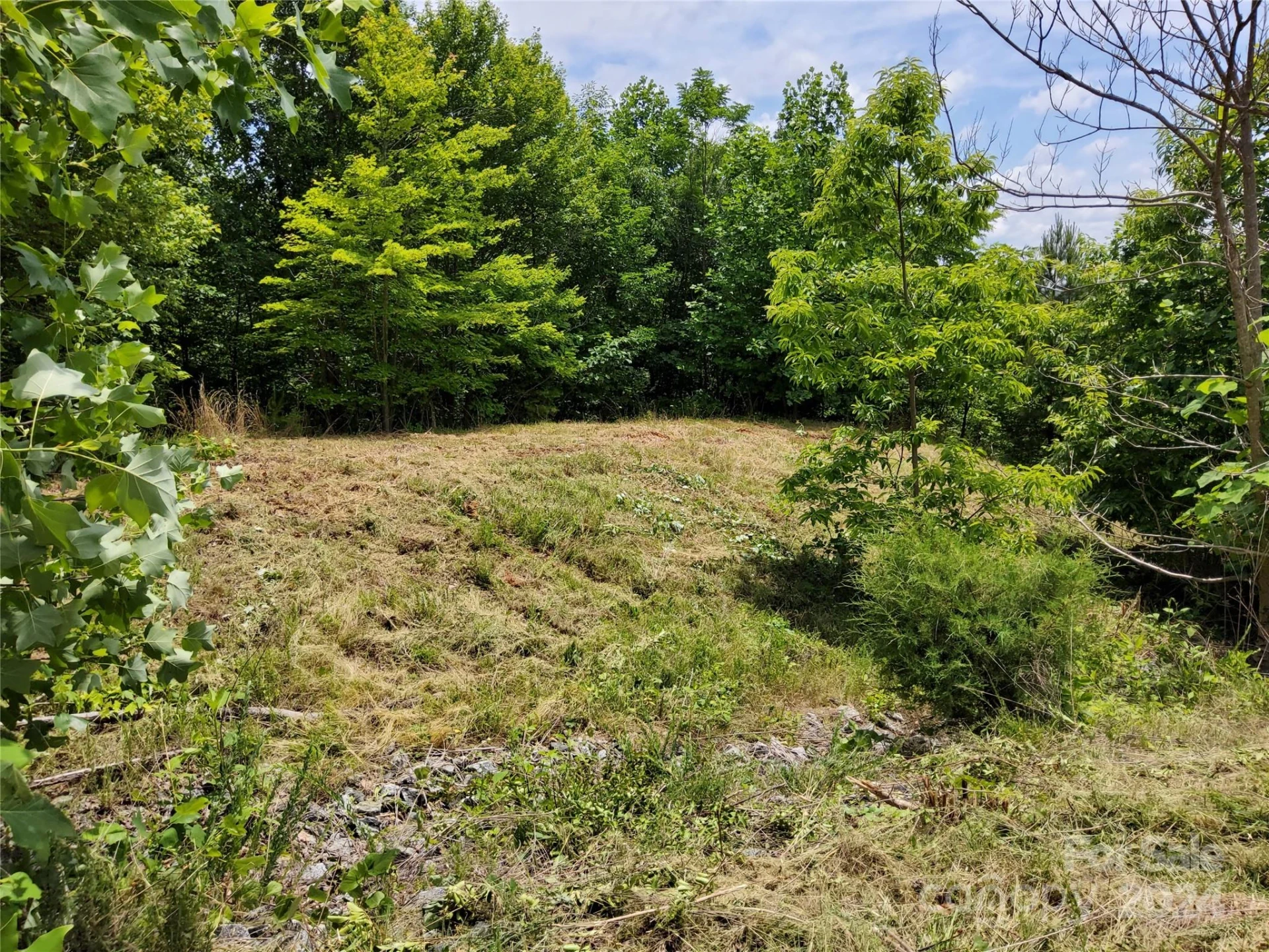 0 Bear Cliff Way #14 - Photo 18