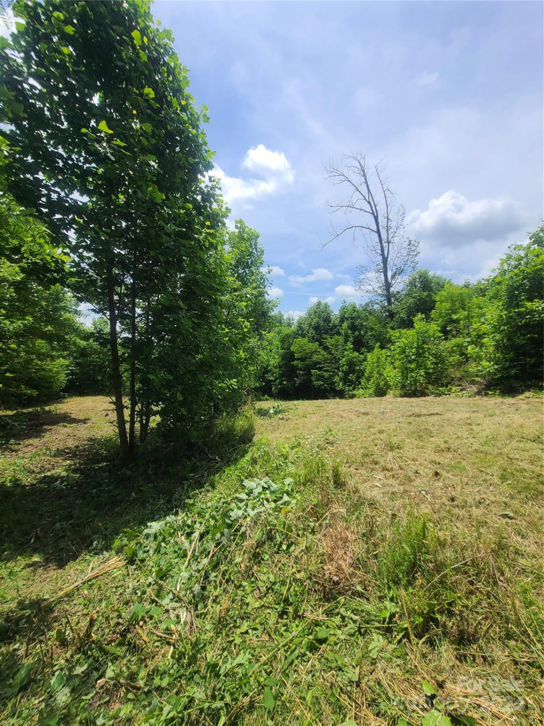 0 Bear Cliff Way #14 - Photo 19