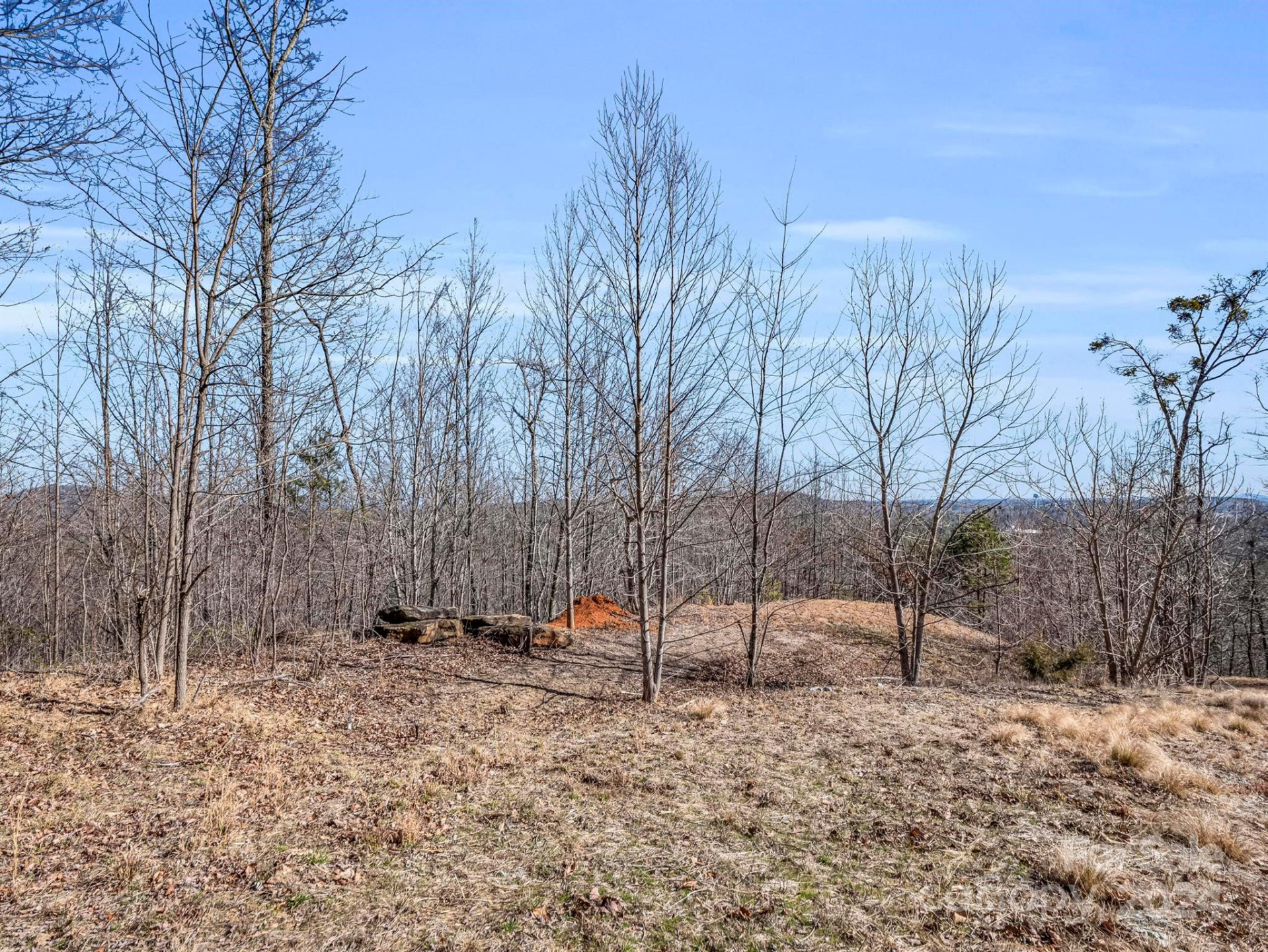 0 Bear Cliff Way #14 - Photo 28