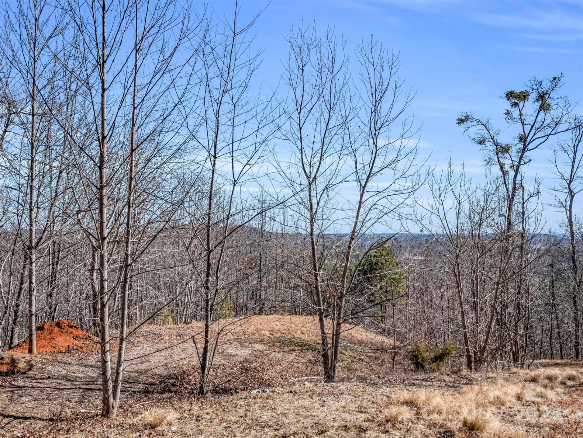 0 Bear Cliff Way #14 - Photo 29