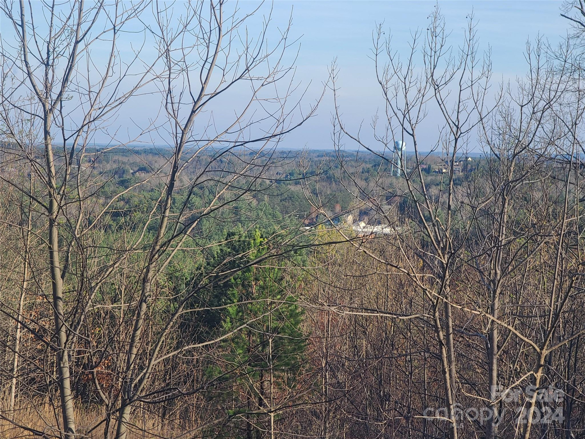 0 Bear Cliff Way #14 - Photo 30