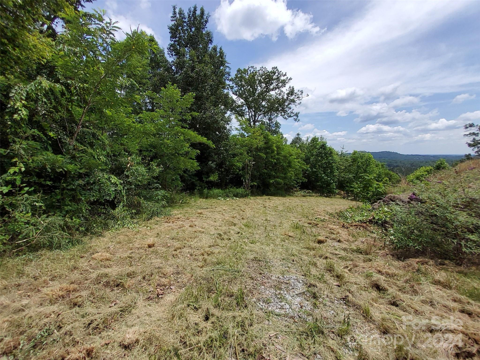 0 Bear Cliff Way #14 - Photo 7