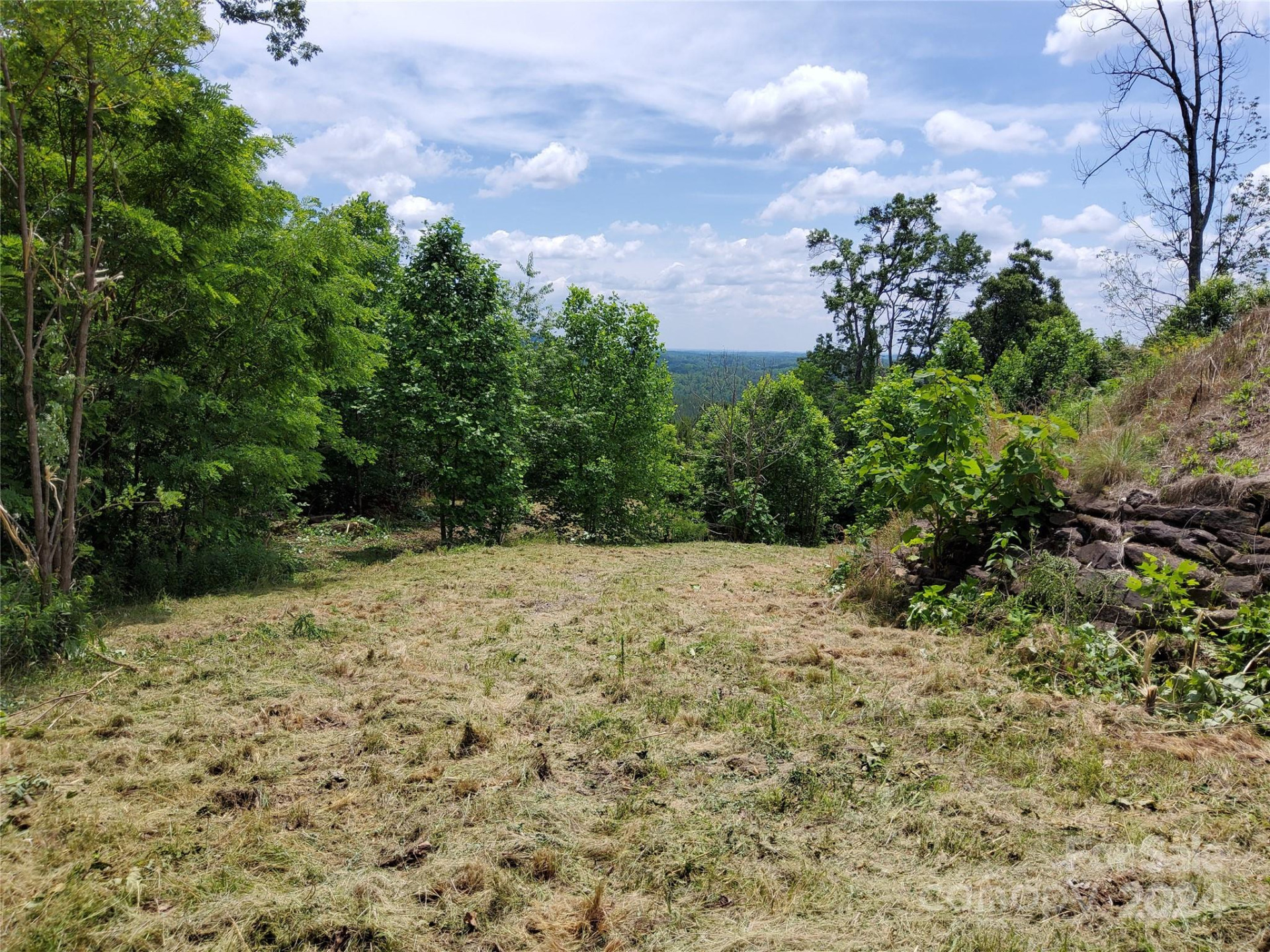 0 Bear Cliff Way #14 - Photo 8