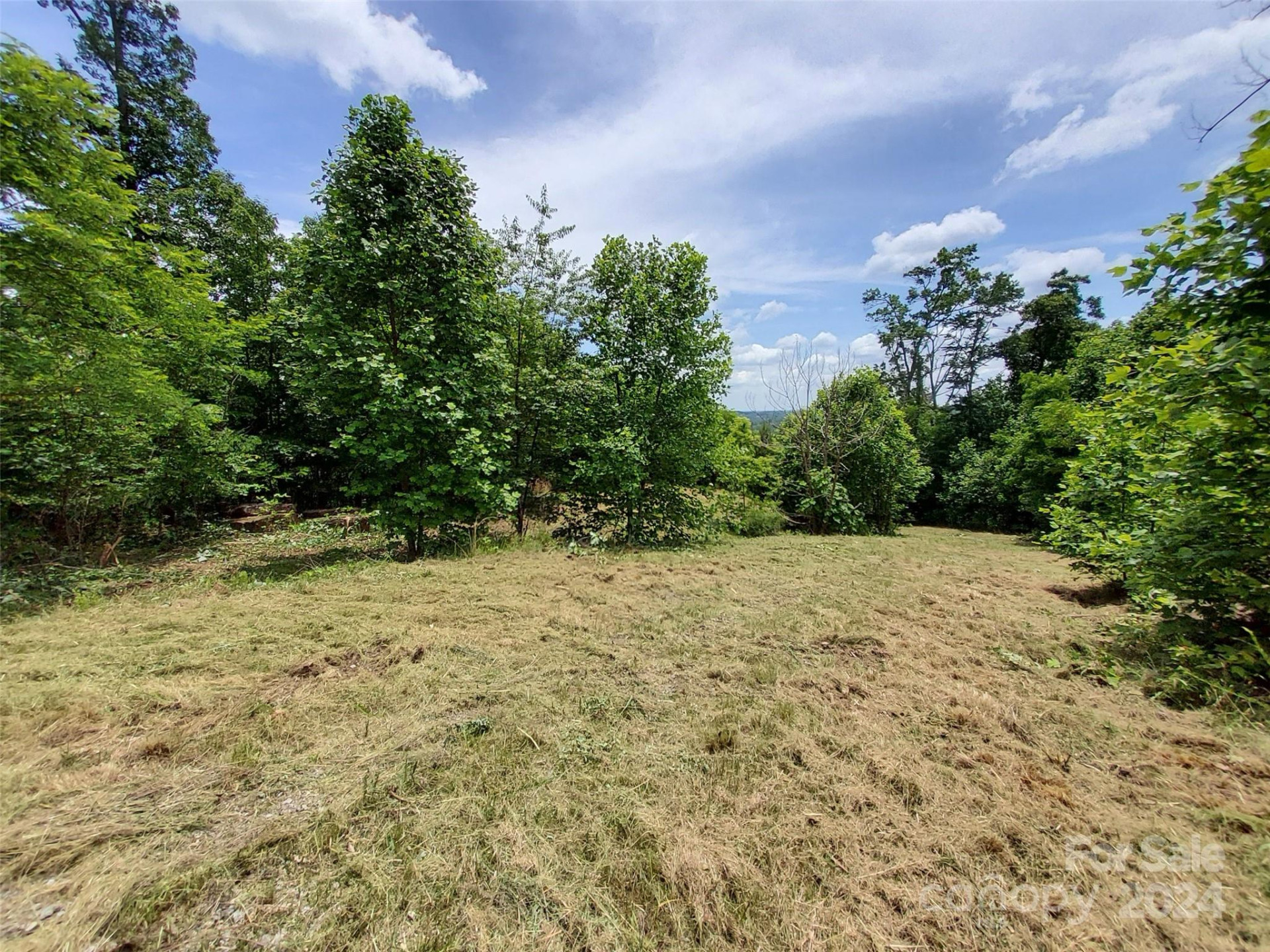 0 Bear Cliff Way #14 - Photo 9