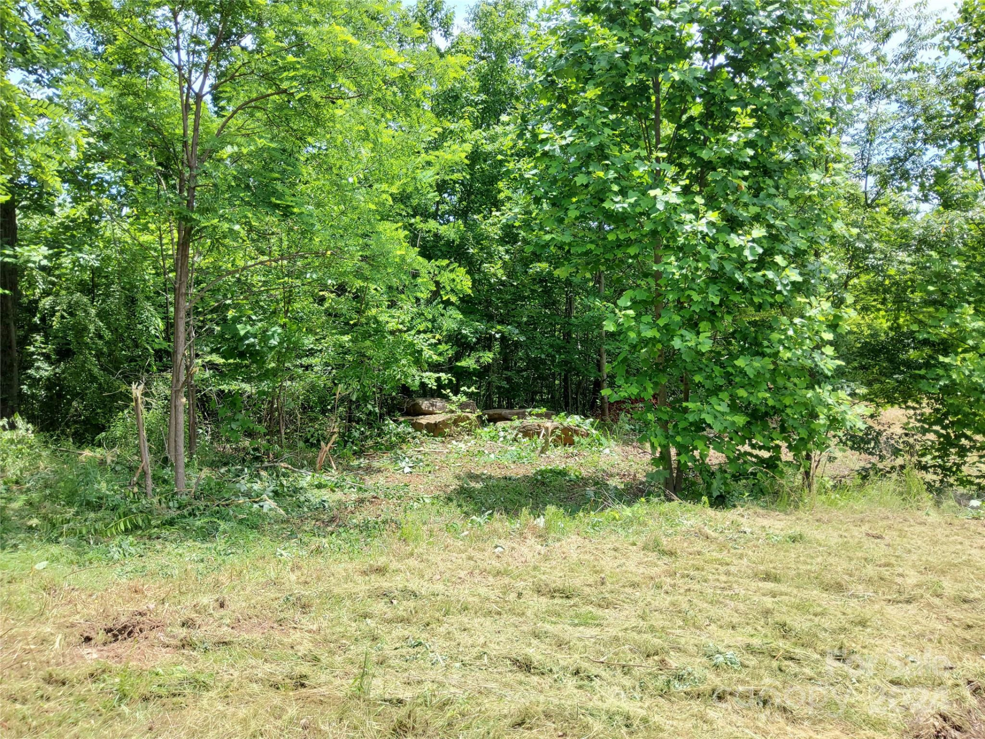 0 Bear Cliff Way #14 - Photo 10