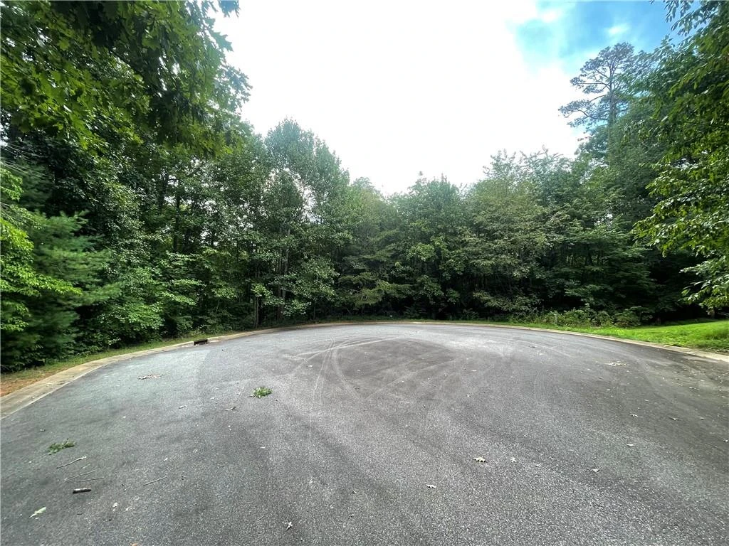 00 Fairway Ridge Lane - Photo 2