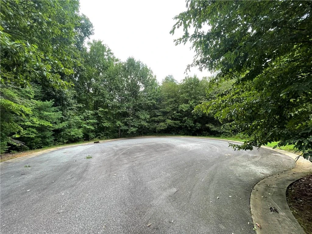 00 Fairway Ridge Lane - Photo 3