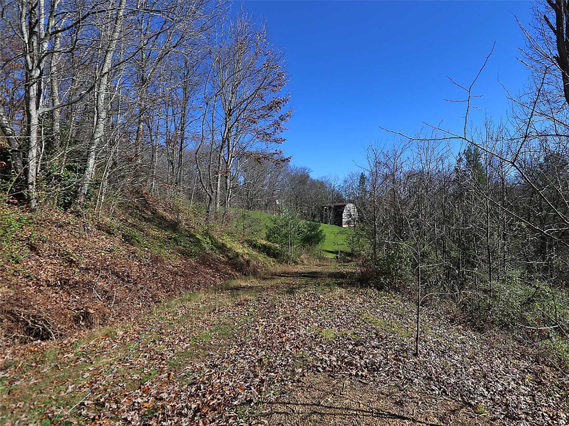 000 Russ Avenue - Photo 11