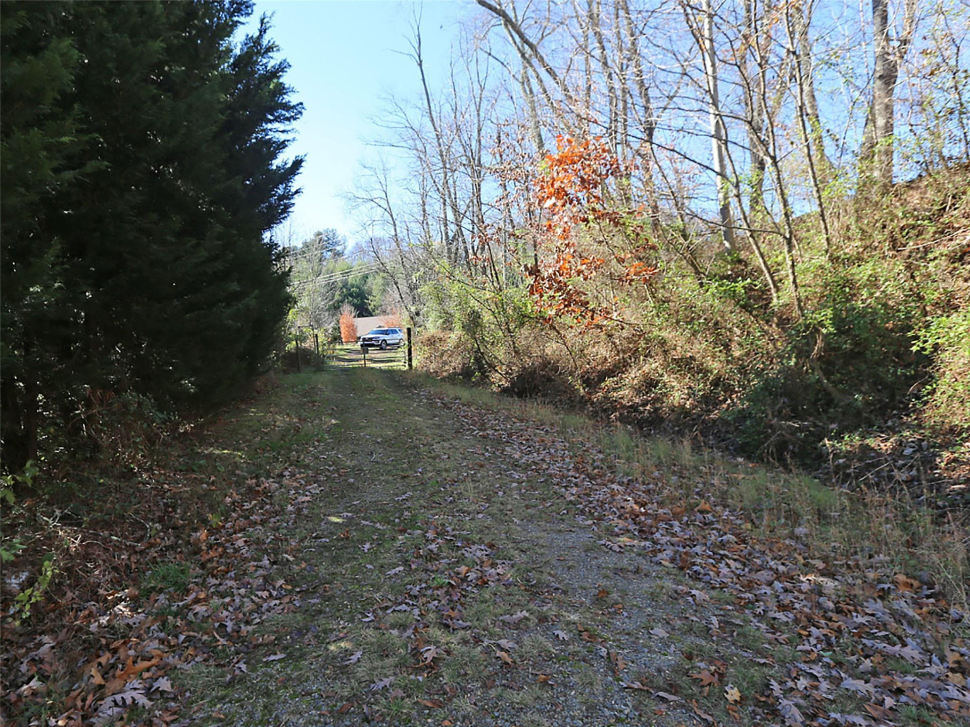 000 Russ Avenue - Photo 12