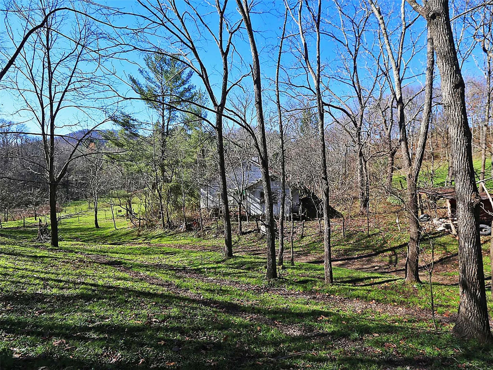 000 Russ Avenue - Photo 5