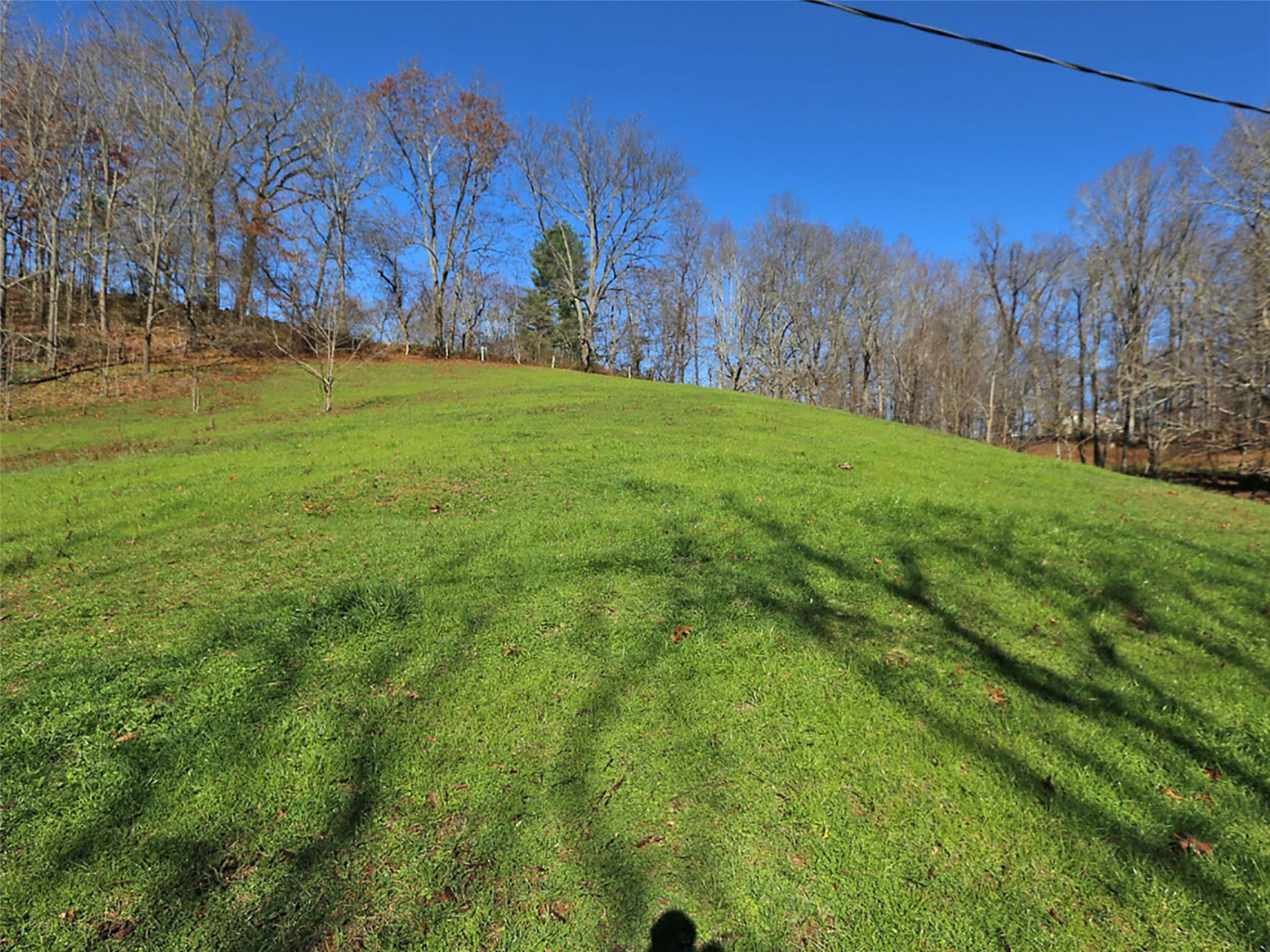 000 Russ Avenue - Photo 9