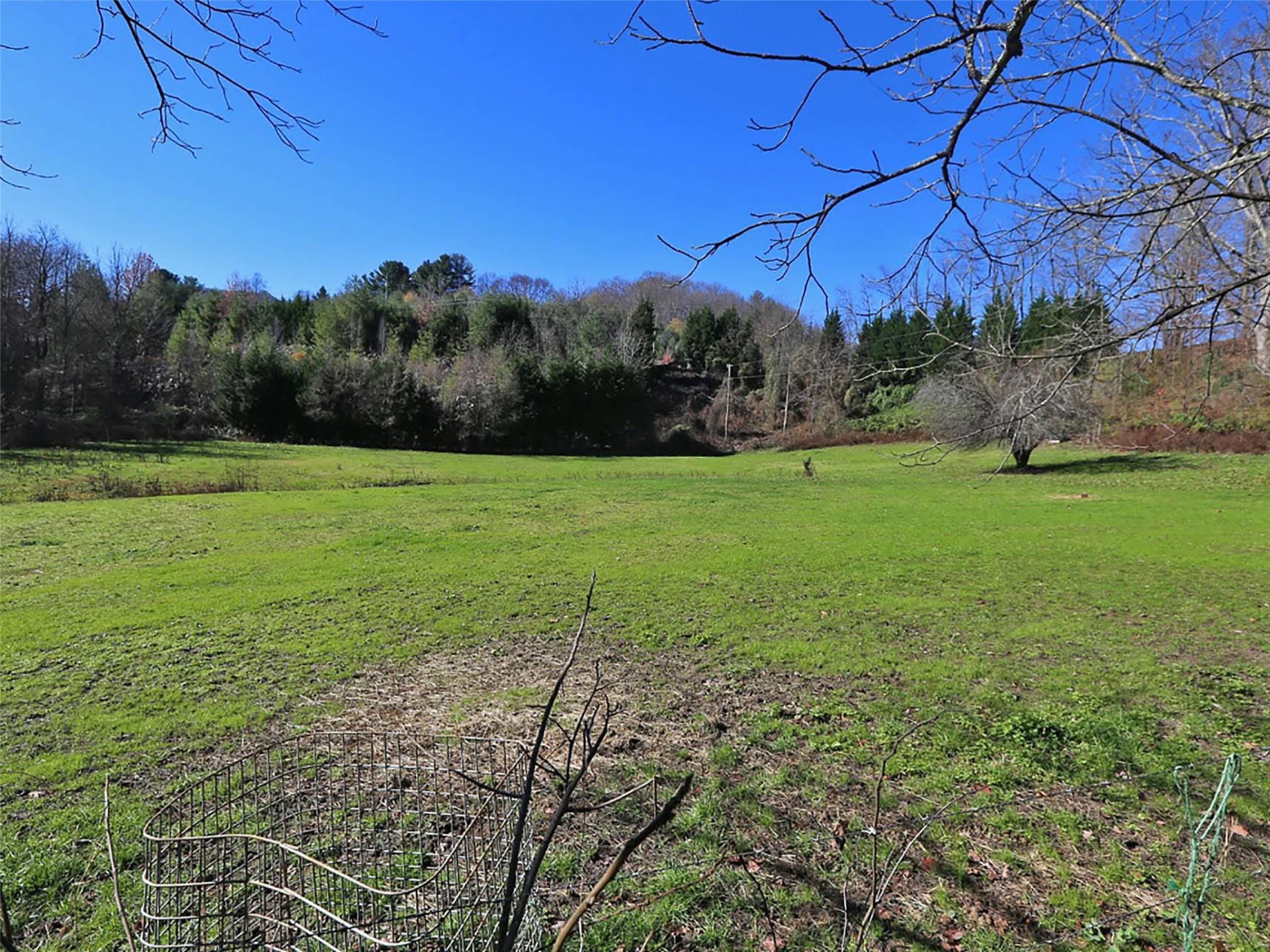 000 Russ Avenue - Photo 10