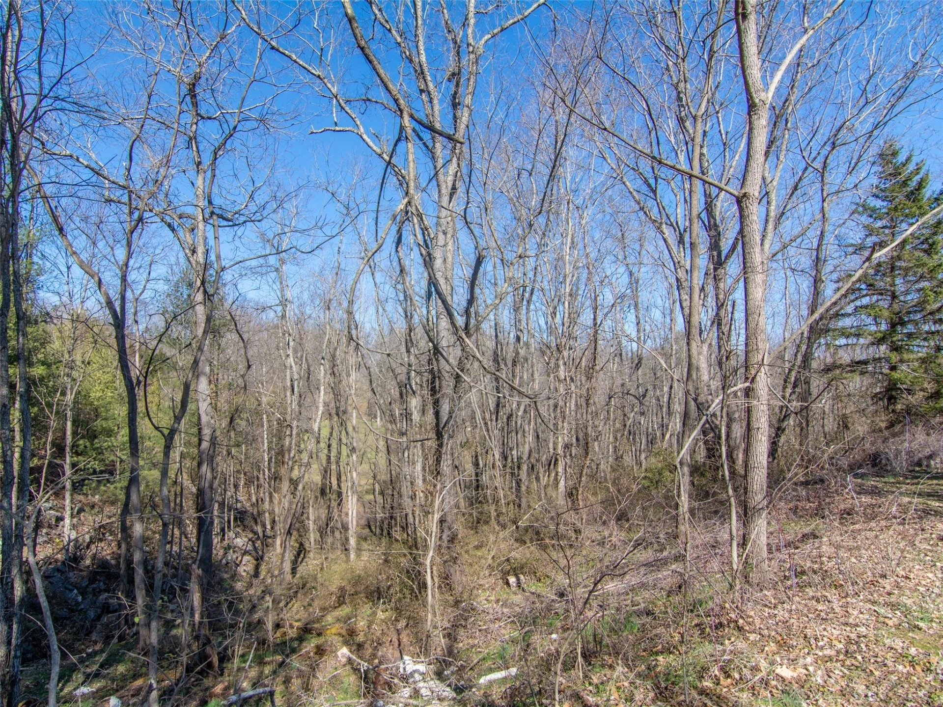 000 Russ Avenue - Photo 19
