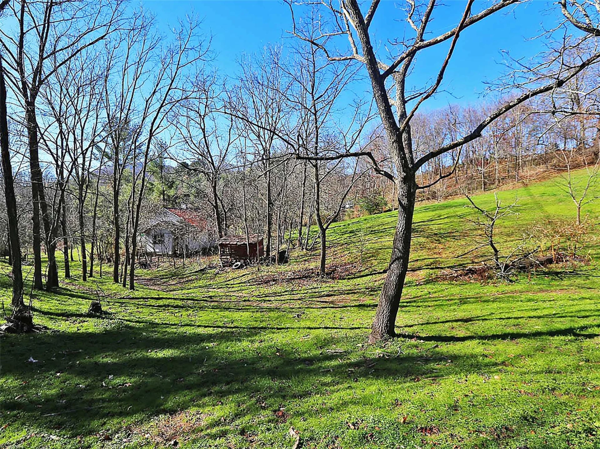000 Russ Avenue - Photo 4