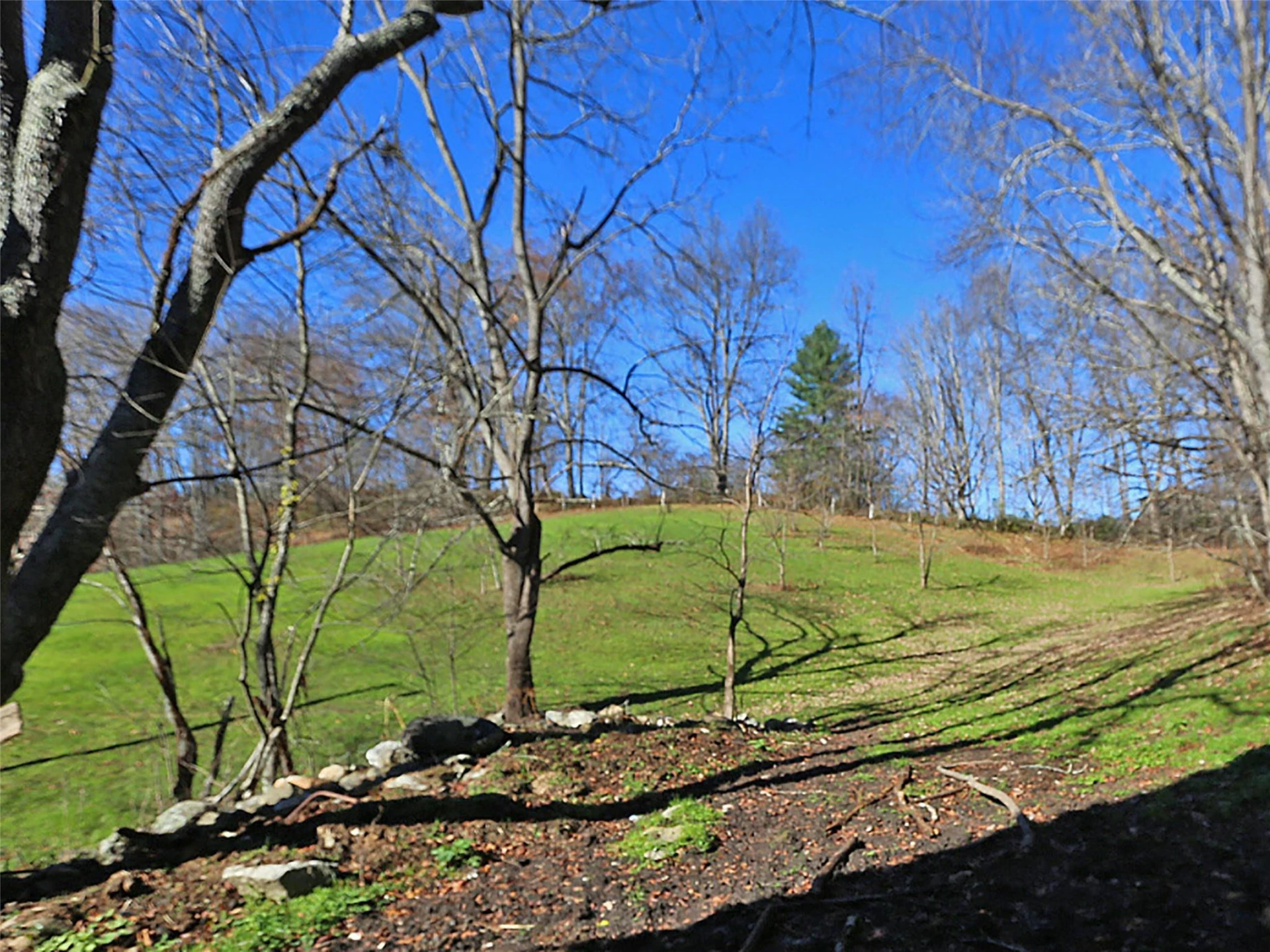 000 Russ Avenue - Photo 5