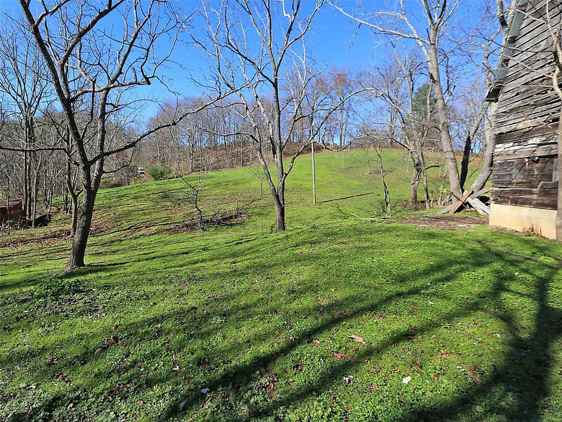 000 Russ Avenue - Photo 6