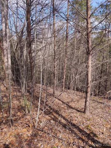 2 Riverview Forest Drive