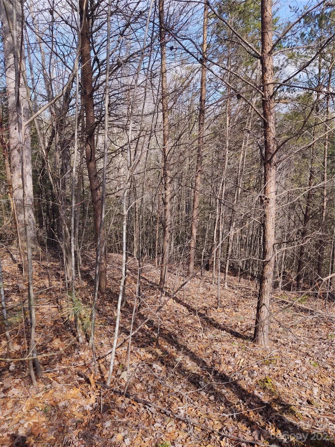2 Riverview Forest Drive #2