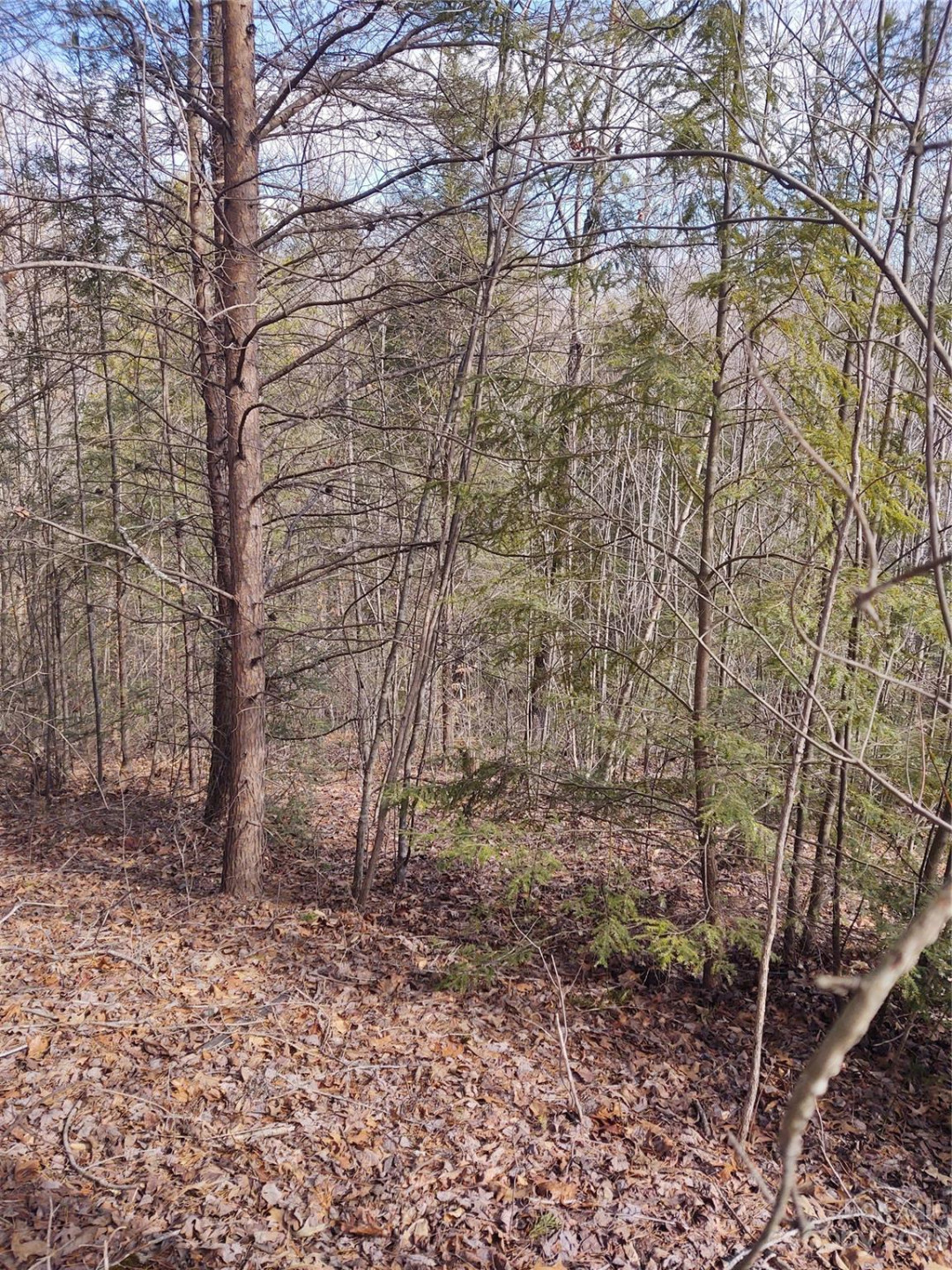 2 Riverview Forest Drive #2 - Photo 2