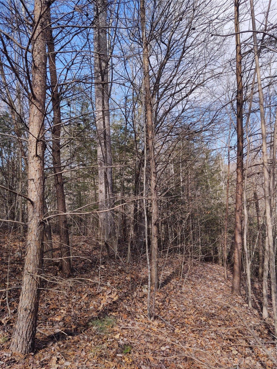 2 Riverview Forest Drive #2 - Photo 3