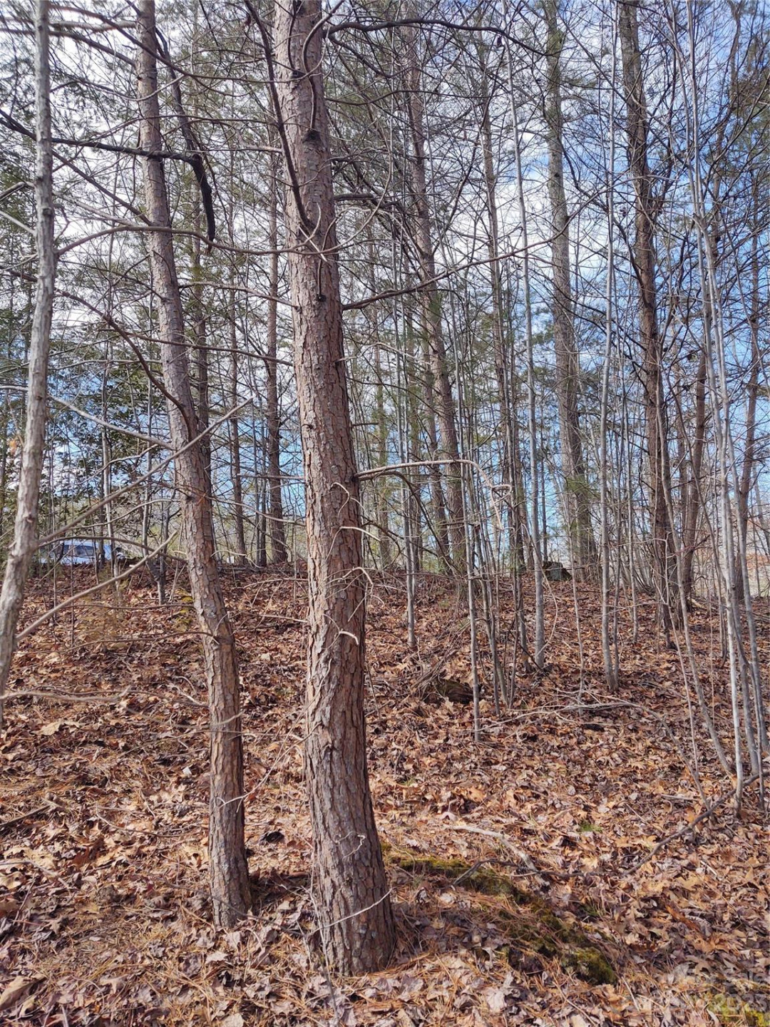 2 Riverview Forest Drive #2 - Photo 4