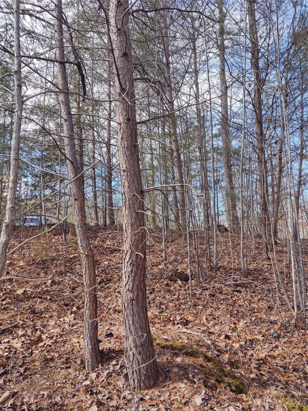 2 Riverview Forest Drive #2 - Photo 4