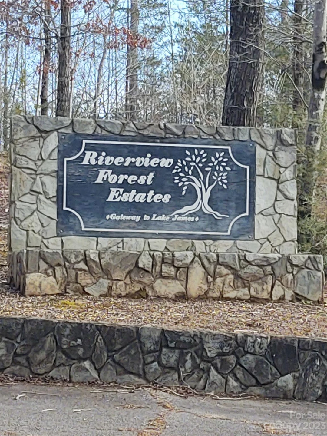 2 Riverview Forest Drive #2 - Photo 5