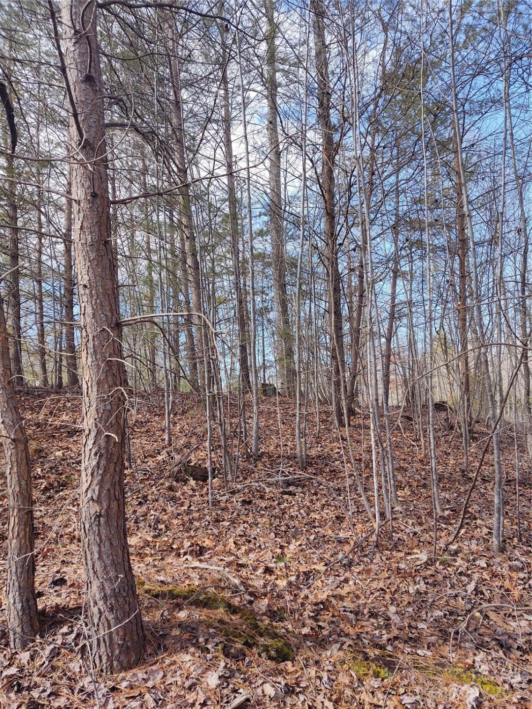 2 Riverview Forest Drive #2 - Photo 6