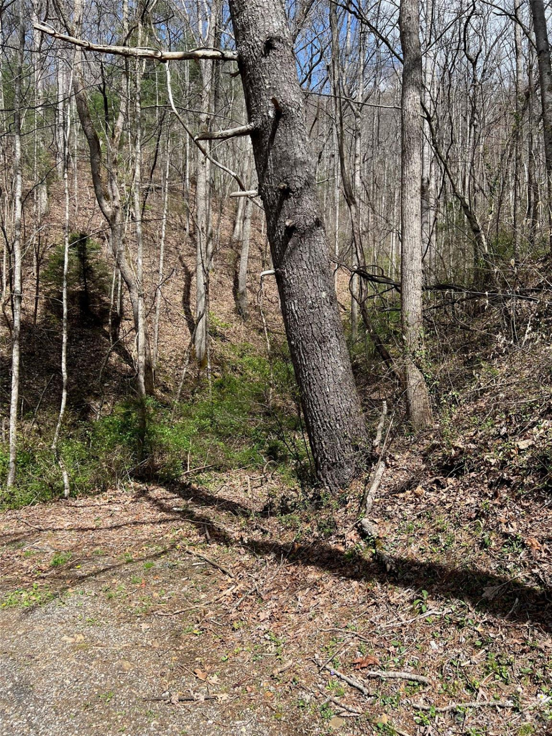 Lots 302,304 Country Club Drive - Photo 2