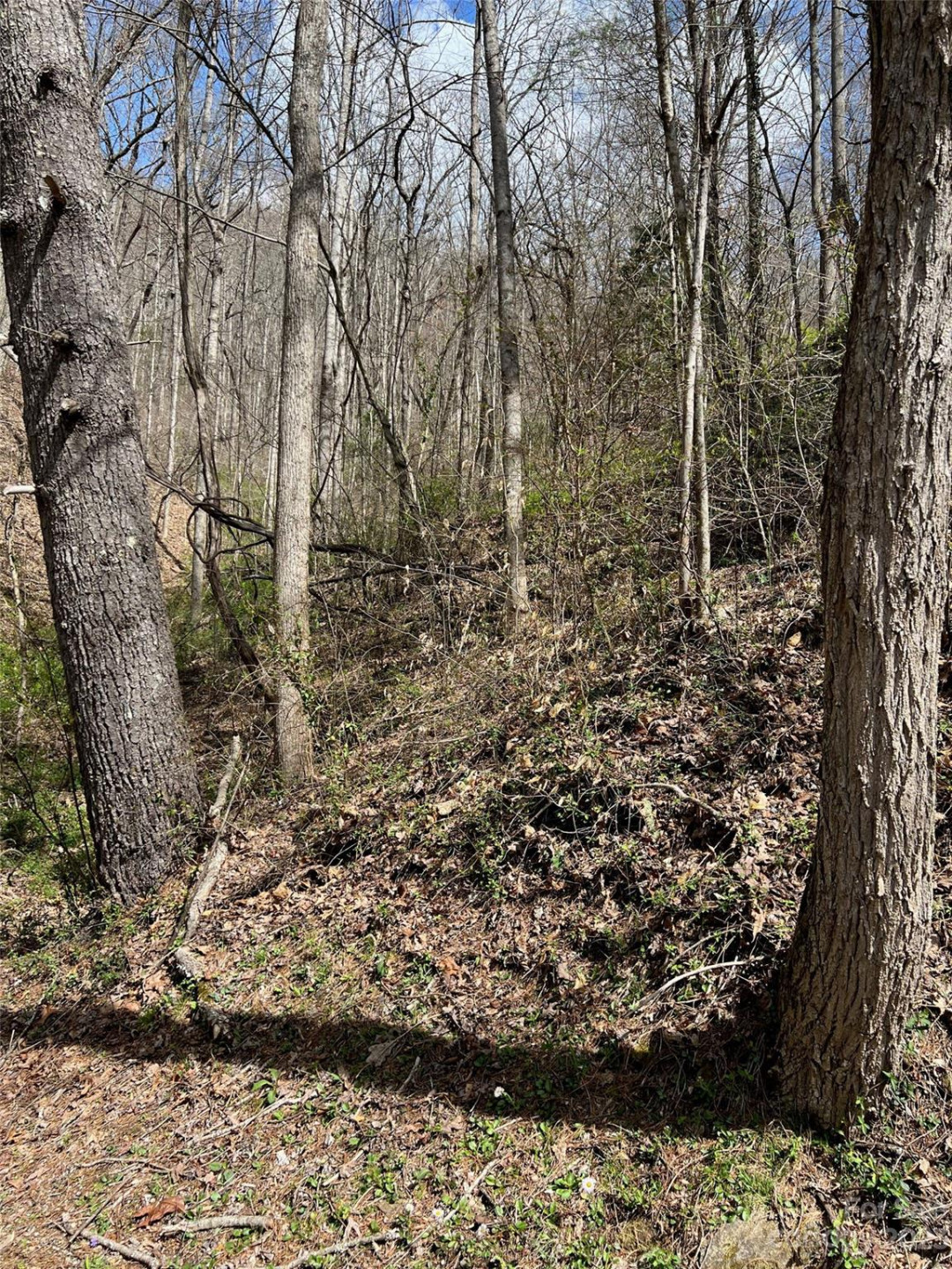 Lots 302,304 Country Club Drive - Photo 3