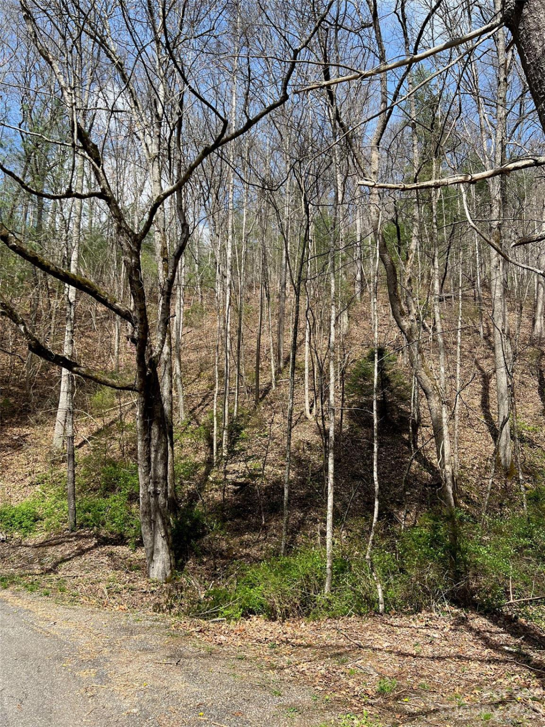 Lots 302,304 Country Club Drive - Photo 4