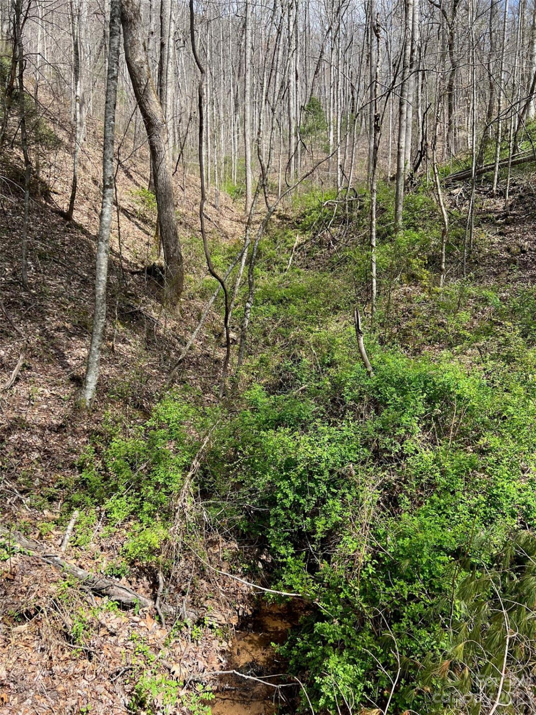 Lots 302,304 Country Club Drive - Photo 5