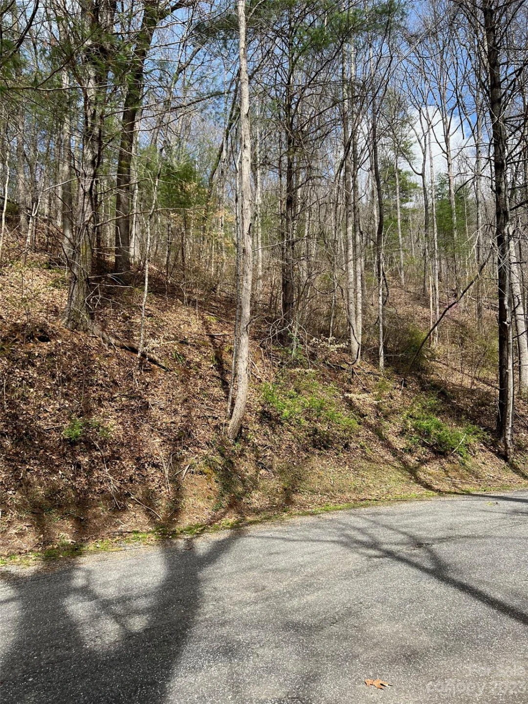 Lots 302,304 Country Club Drive - Photo 7