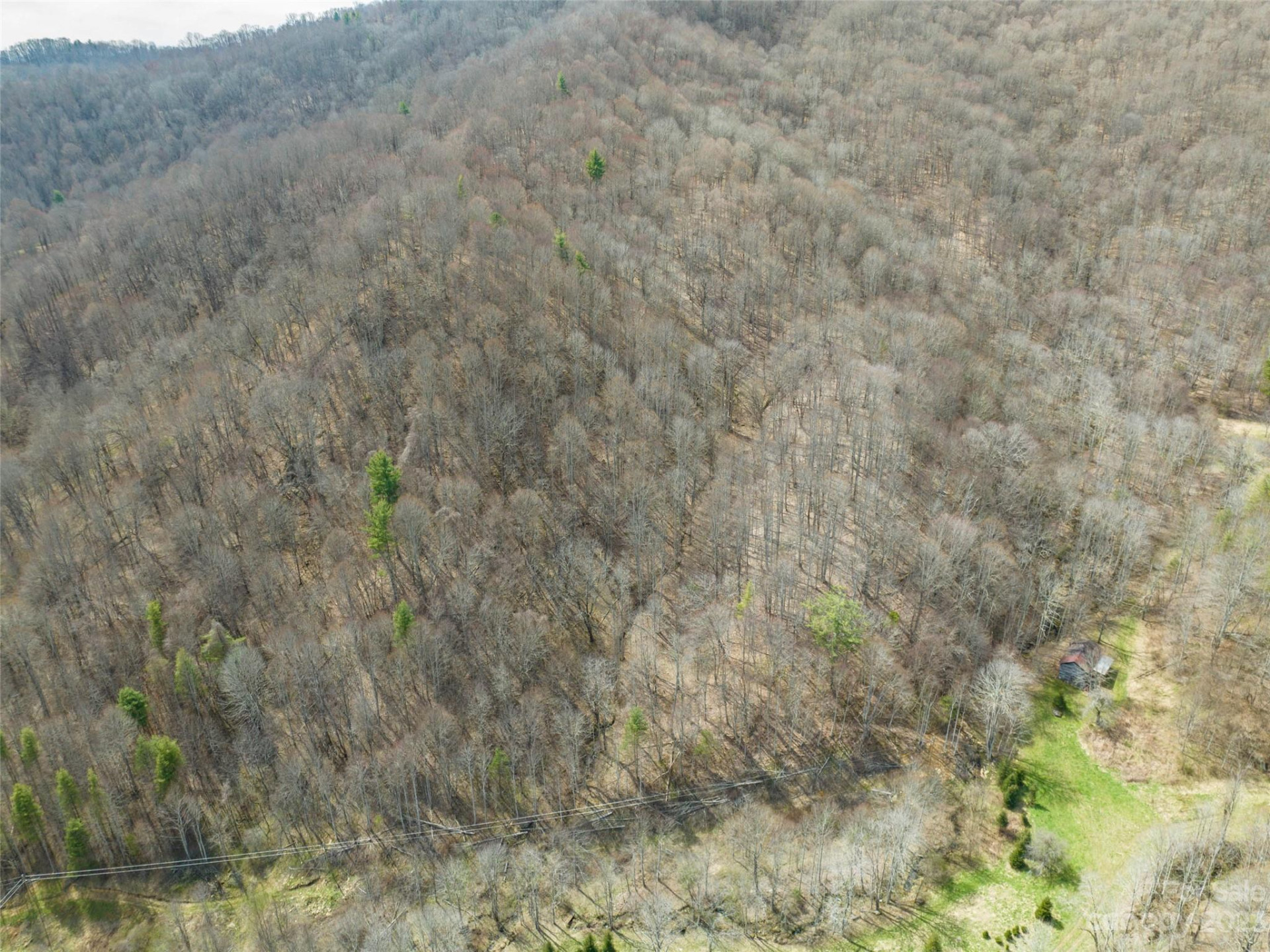 00 Wesley Creek Road - Photo 30