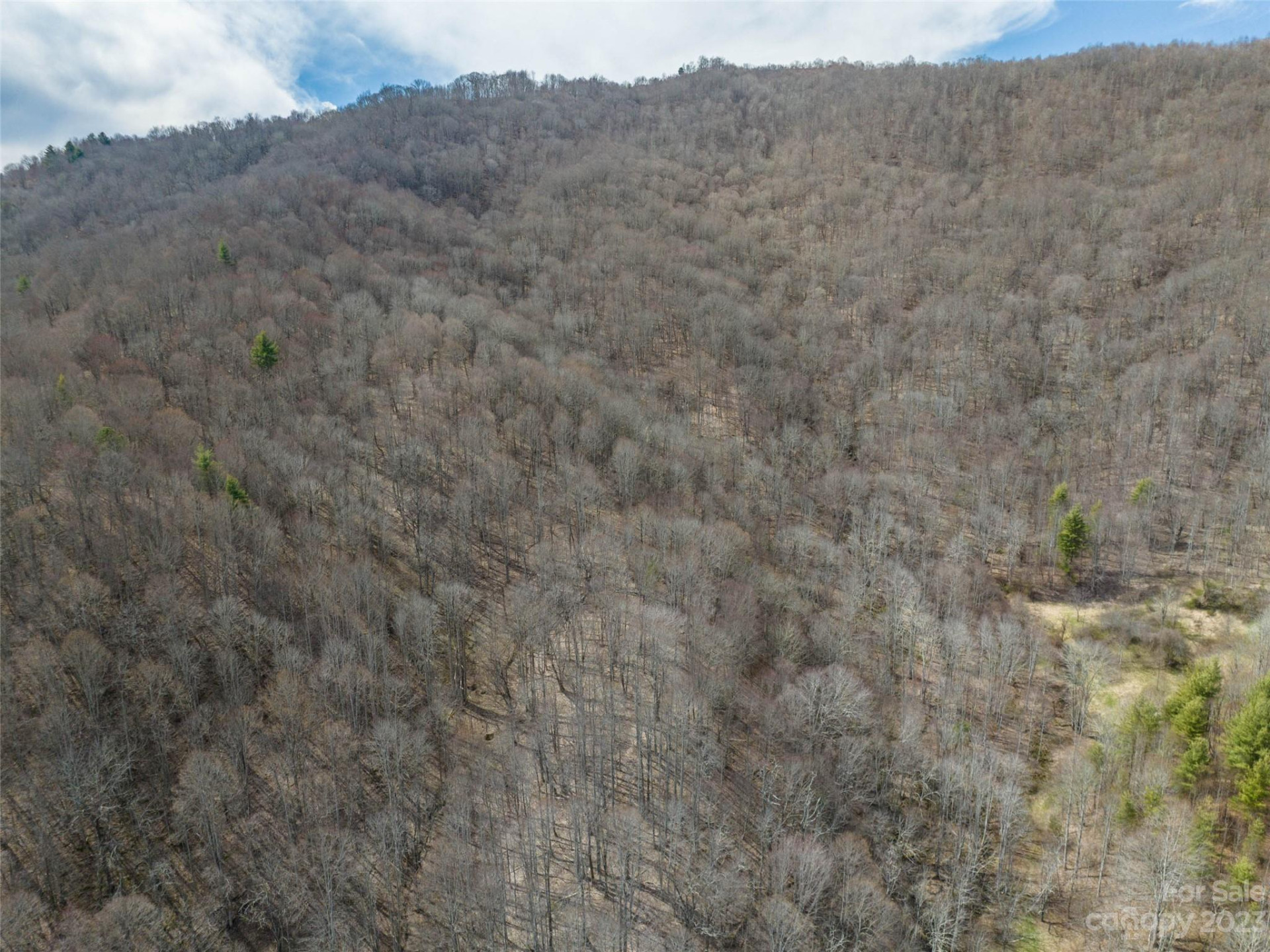 00 Wesley Creek Road - Photo 31