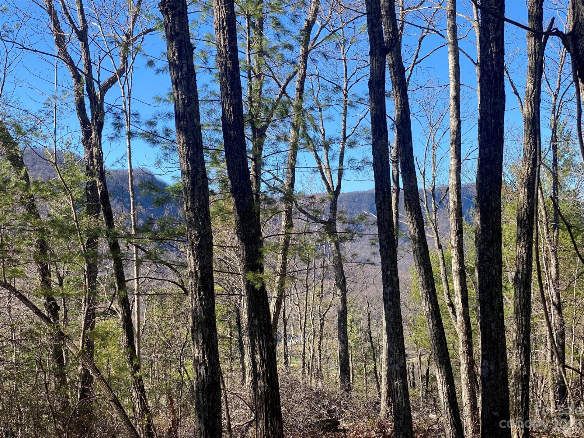 Lot 49 Sunrise Path