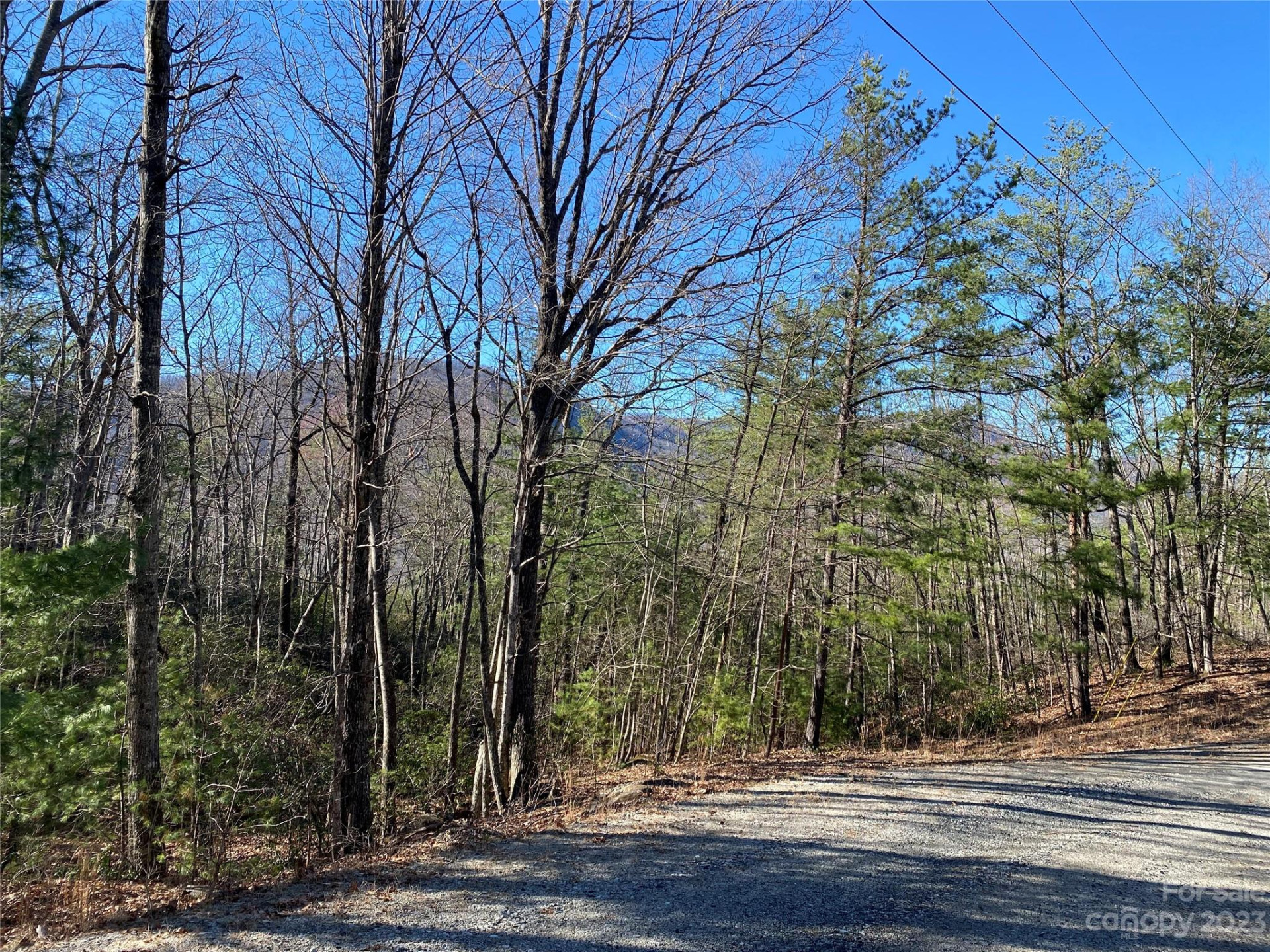 Lot 49 Sunrise Path - Photo 11