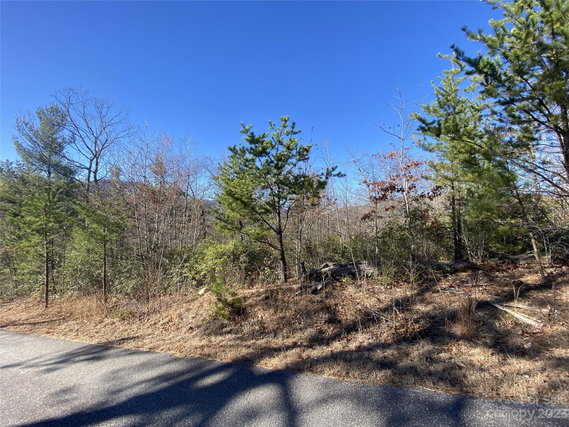 Lot 49 Sunrise Path - Photo 13
