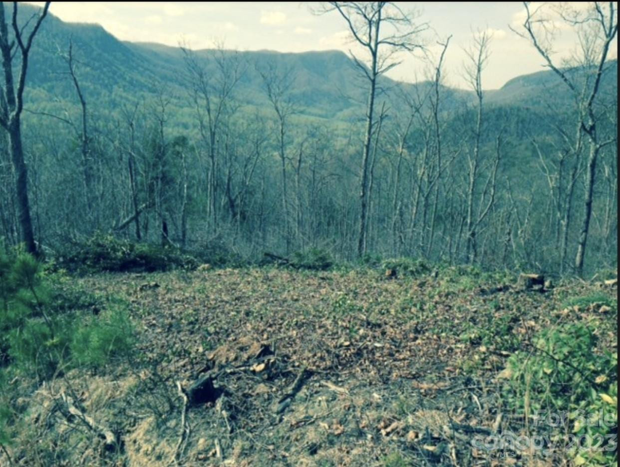 Lot 49 Sunrise Path - Photo 14